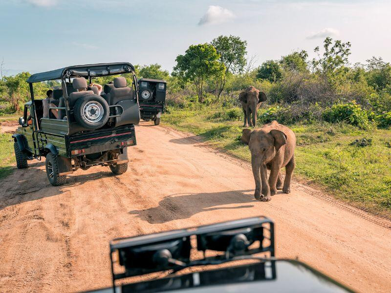 safari in kenya periodo migliore